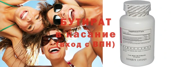 мдпв Гусев