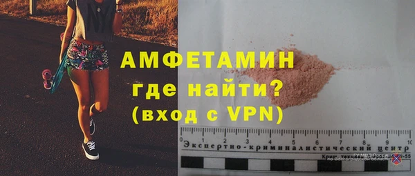 мдпв Гусев