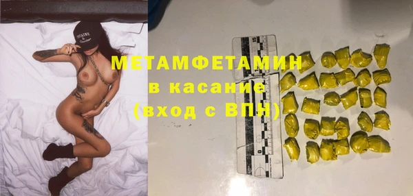 сатива Туринск