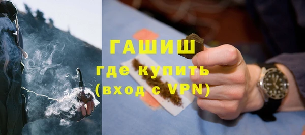 мдпв Гусев