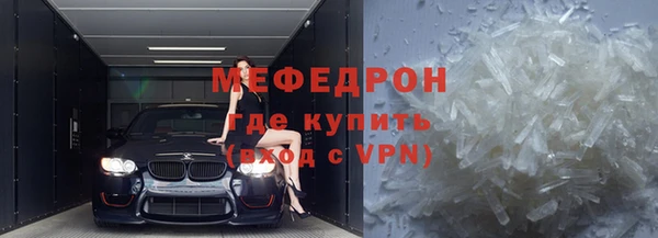 мдпв Гусев