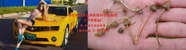 а пвп мука Гусиноозёрск