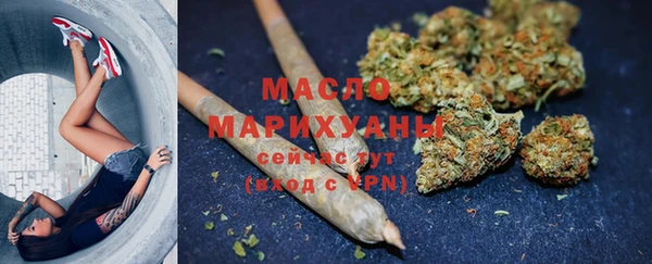 мдпв Гусев