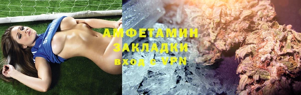 сатива Туринск