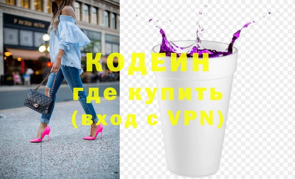 мдпв Гусев